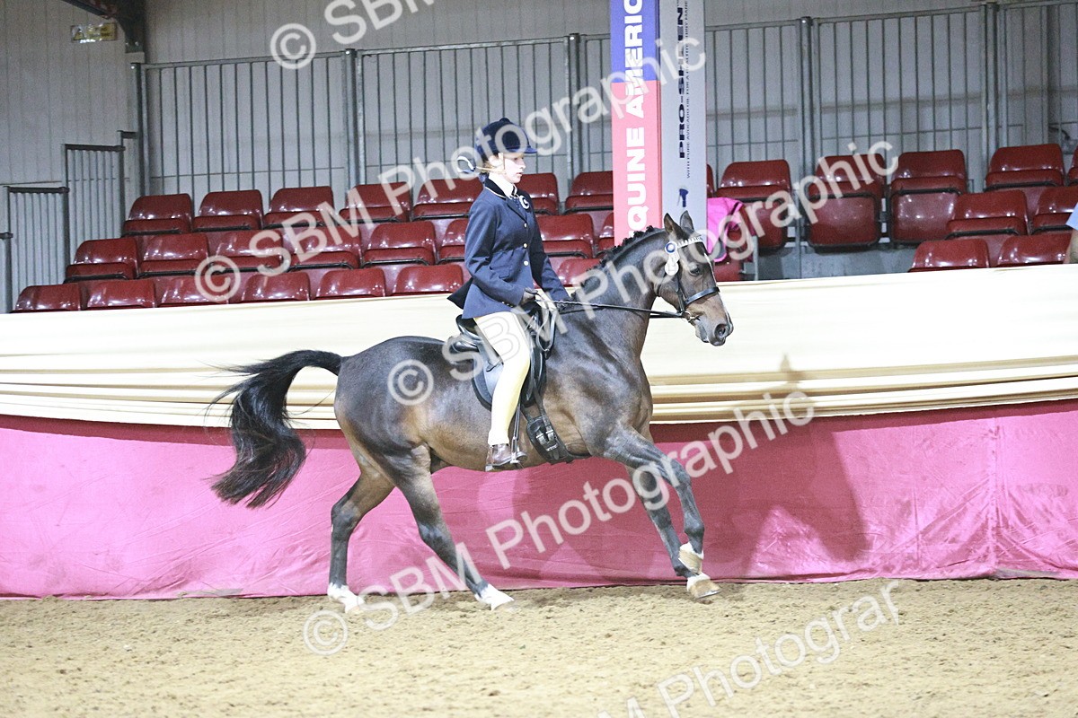 SBM_08055 - Class 11R - Regional Ridden Veteran