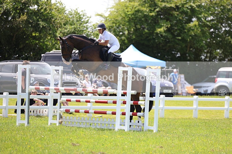 3E7A1313 - Class 12: Senior Foxhunter/1.20 open