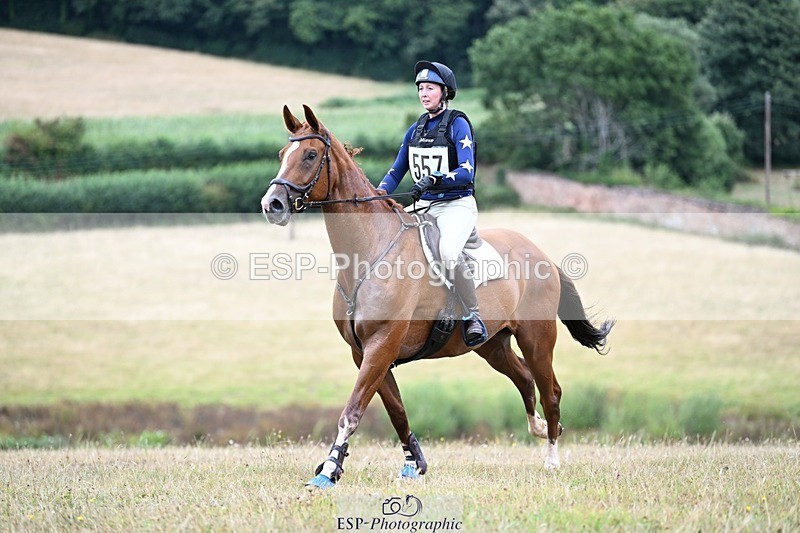 250803A-124349-13293 - M-557-Heidi.Allen-COMIC.WANDA