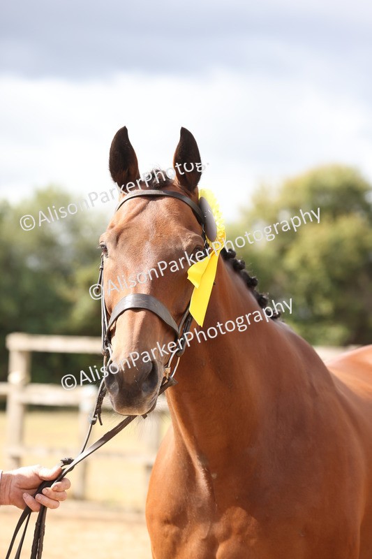 20260831-1991 - Class 5 - Retraining of Racehorses