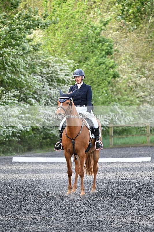 WJ7_7940 - Time 10:11 to 10:27