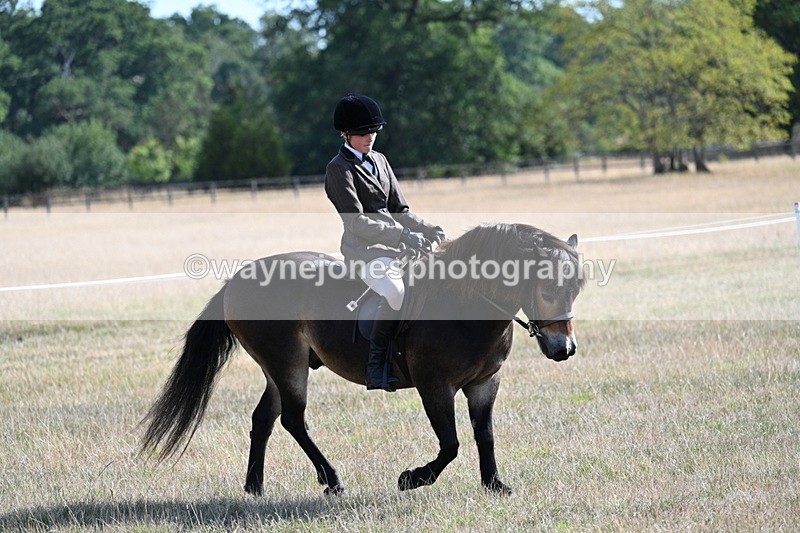 WJ7_2919 - Class 8 Ridden Tack & Turnout