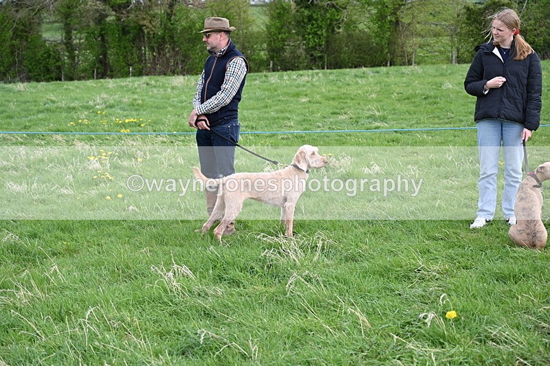 WJ6_8046 - Class 2 Best Pedigree