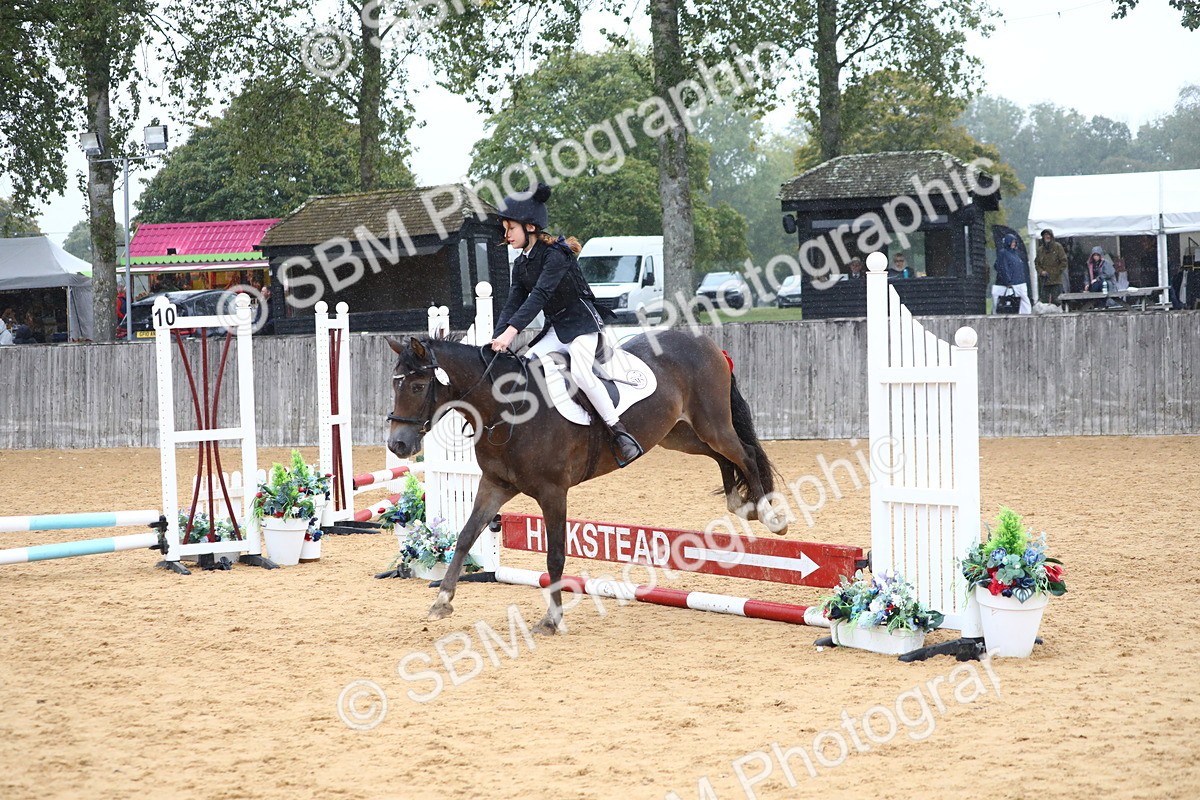 SBM_71656 - J4 - Mini Tour Junior Pony 45cm Championship