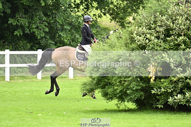 250613A-135844-02437 - Cls 3 Snr Foxhunter