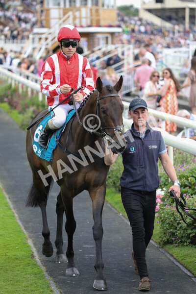yr23072022r6-19 - Race 6 5.00pm Sky Bet Partnership with Support Dogs Stakes