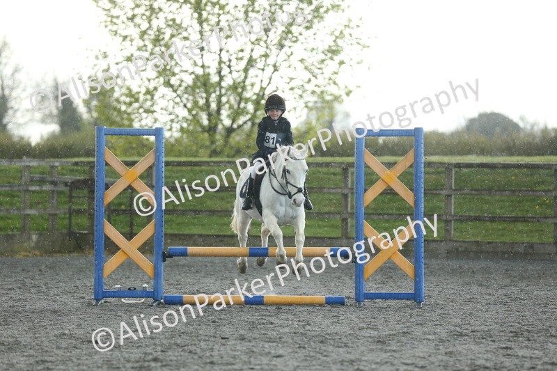 20260412-1937 - Show Jumping