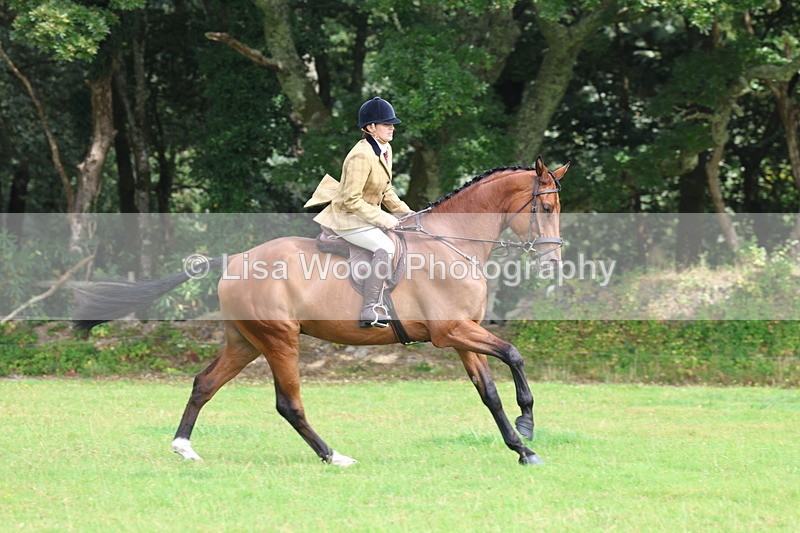 3E7A5880 - Class 26 and 27: 70cm Working Hunter