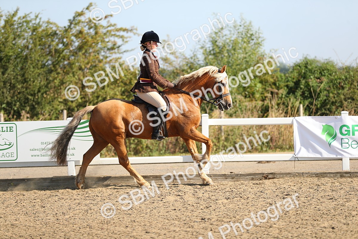 SBM_01266 - Class 42 Ridden Veteran