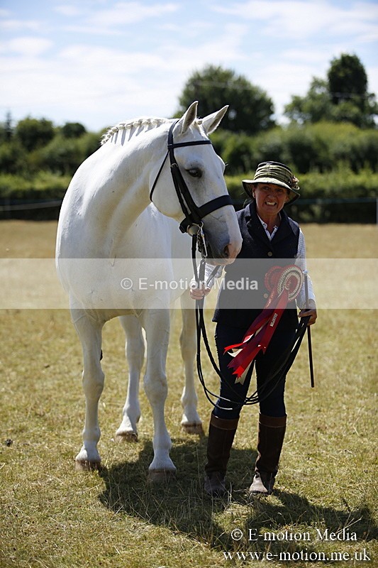 _C7A0183 - In Hand Championship BVRC Show 2018