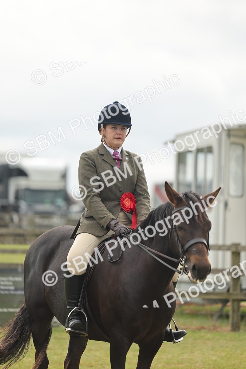 SBM_09144 - Class 78-80 - Ridden M&M Non Welsh Ponies
