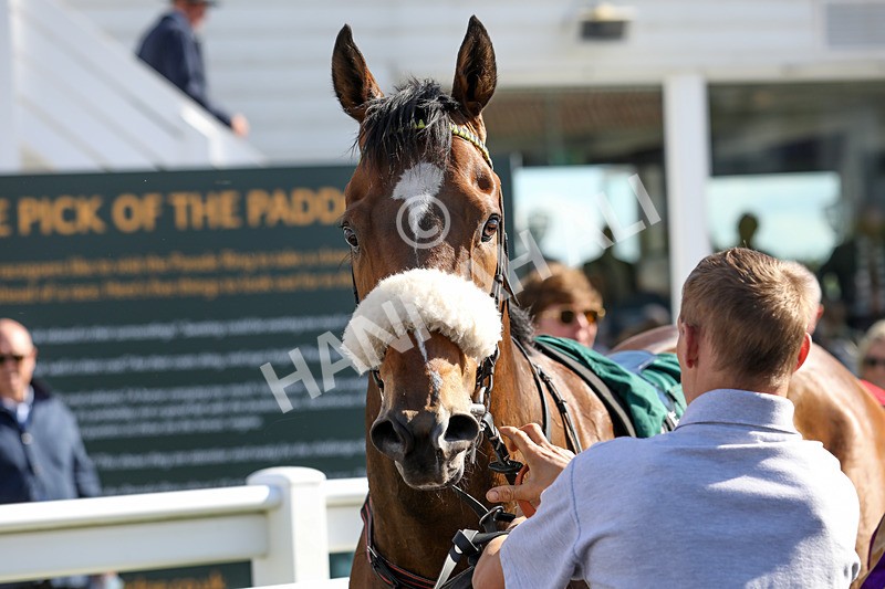 080624-Race 6-Tatterstall-5044 - Race 6