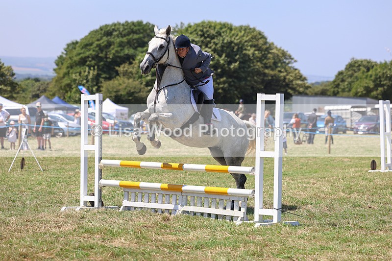3E7A4355 - Class 10: Senior British Novice/90cm open
