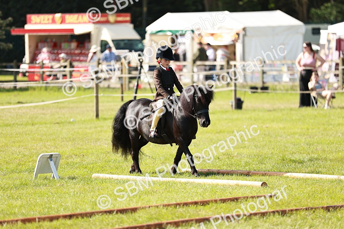 SBM_12589 - Class 106-107 - BSPS LIHS Working Sports Pony