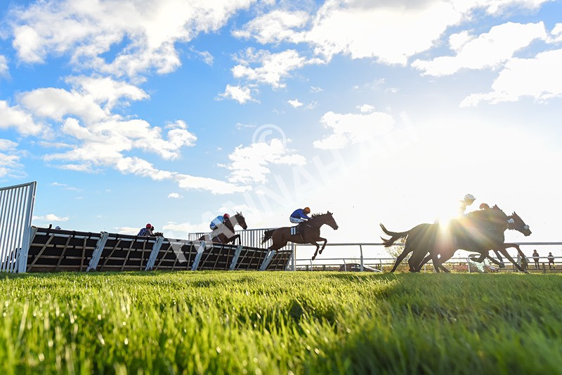 241123-Race 5-Bugise Seagull-4705 - Race 5