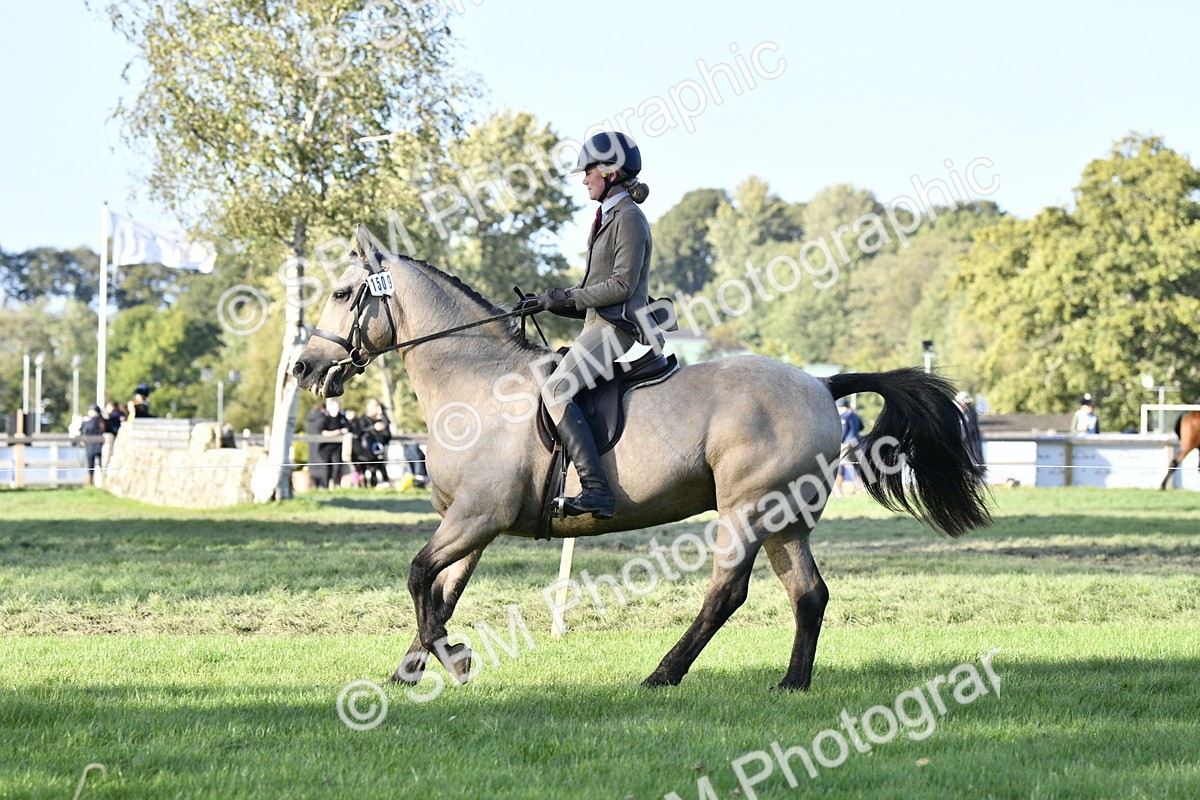 SBM_53529 - S14 - Riding Club Horse