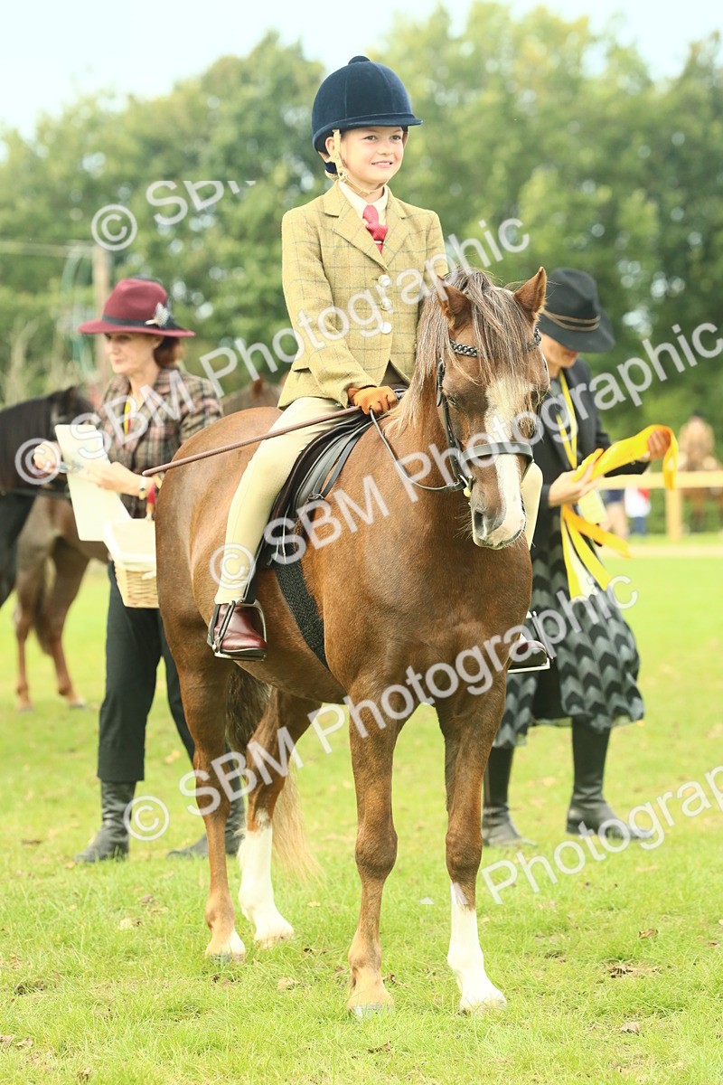 SBM_70005 - S59 - Mountain & Moorland Ridden Small Breeds
