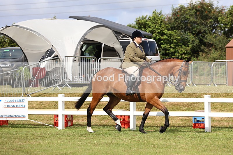 3E7A9294 - Class 4: Rising Star M/H Hunter