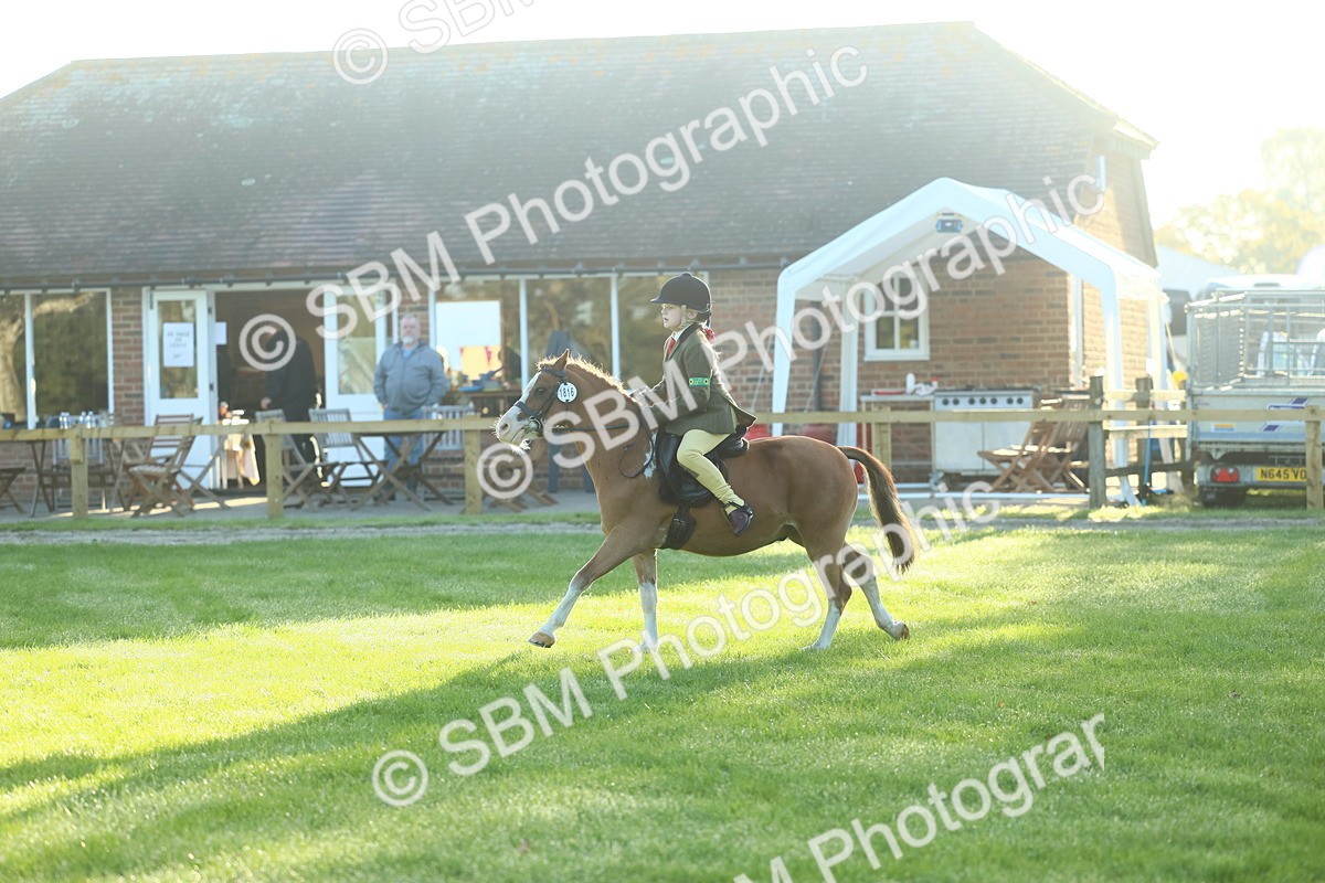 SBM_31811 - S28 - Nursery Stakes Working Hunter Pony
