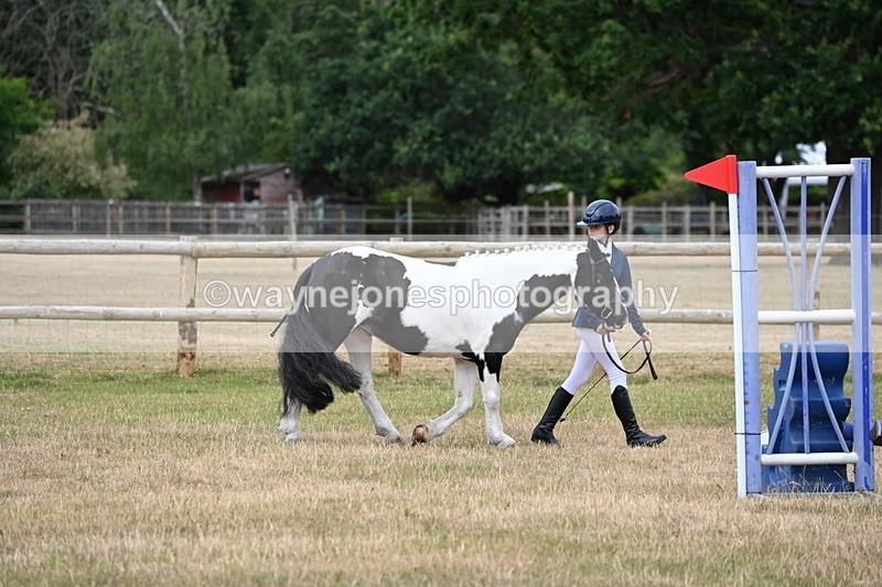 WJ6_4184 - Class 10 Coloured In-hand