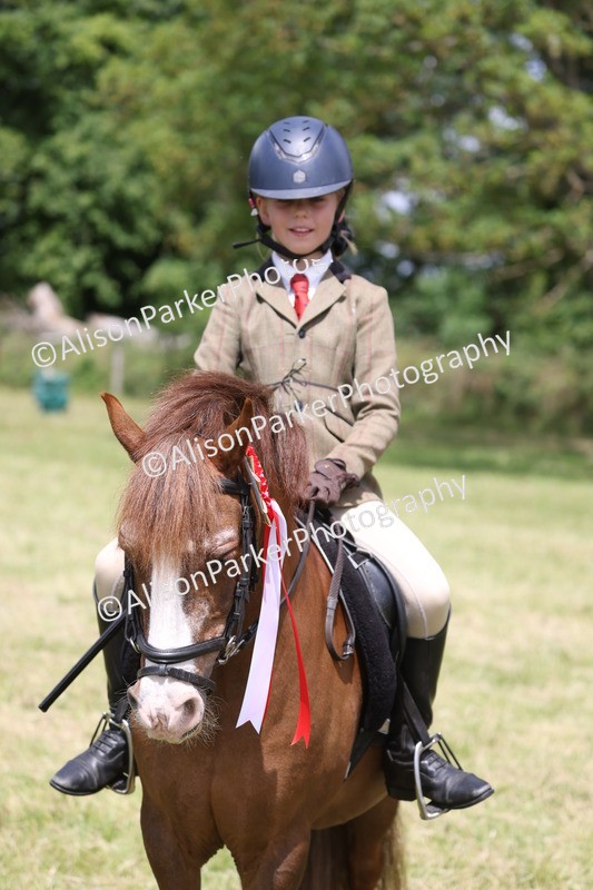 20260614-2143 - Class 21 - Novice Working Hunter Pony