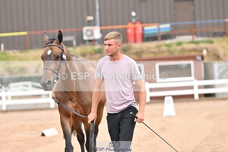 250716-150357-01606 - Trot Up 2.30 to 3.30