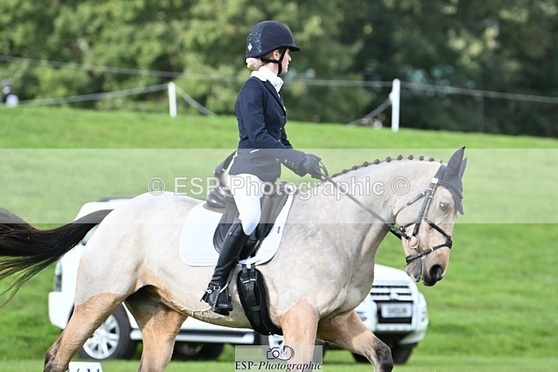 231020-141809-10873 - 664-TEMPLEMORE.WILD.ONE-Bella.Stevens-DR