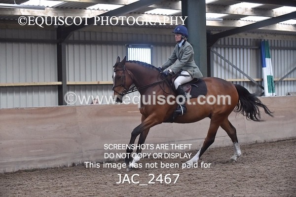 JAC_2467 - CLASS 3 Intermediate Working Hunter