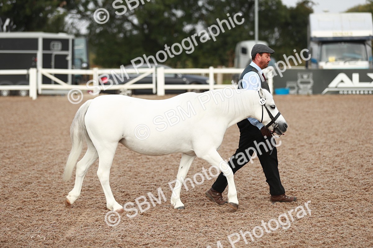 SBM_09479 - Class 201 Best Turned Out IH