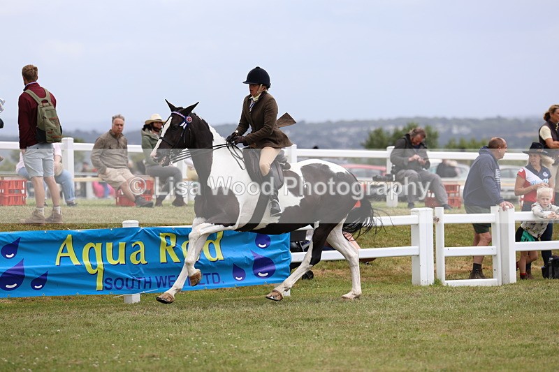 3E7A1029 - Class 8: Open Riding Horse/Hack