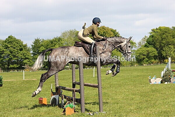 IMG_4608 - Working Hunter