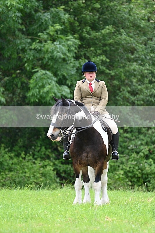 WJ7_2189 - Class 12A Coloured Class