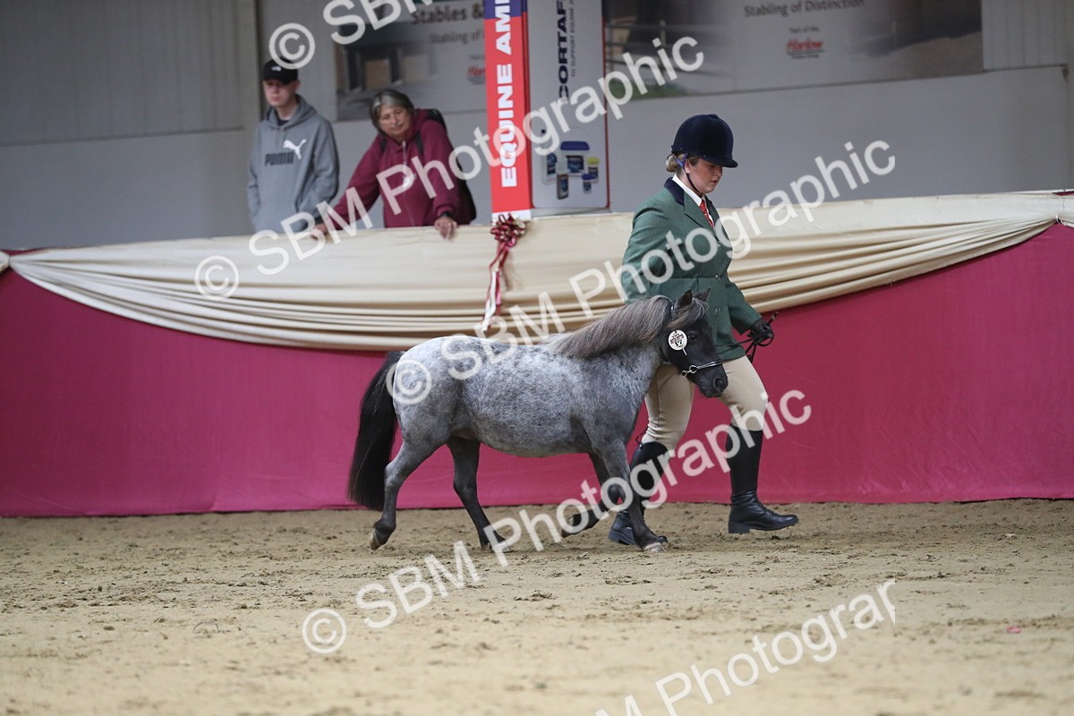 SBM_01295 - Class 3a Area IH Pre Vet
