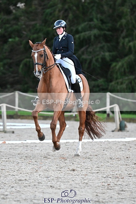 231110-163916-02700 - Cls 14 FEI Grand Prix