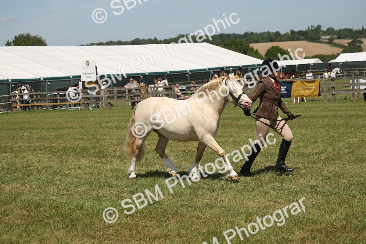 SBM_06971