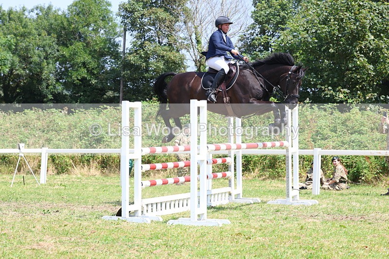 3E7A3371 - Class 10: Senior Foxhunter/1.20 open