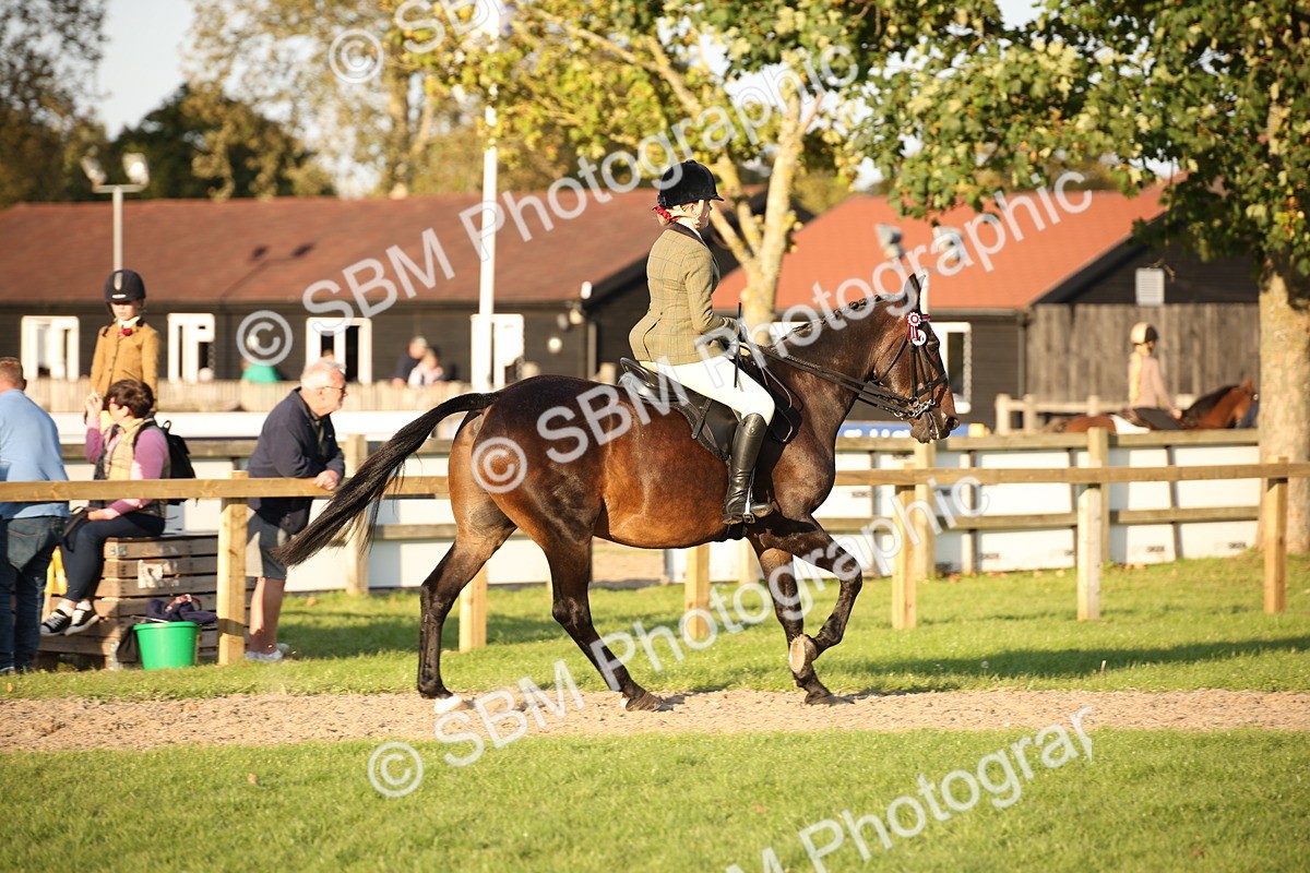 SBM_54453 - S27 - Mature Veteran - Ridden