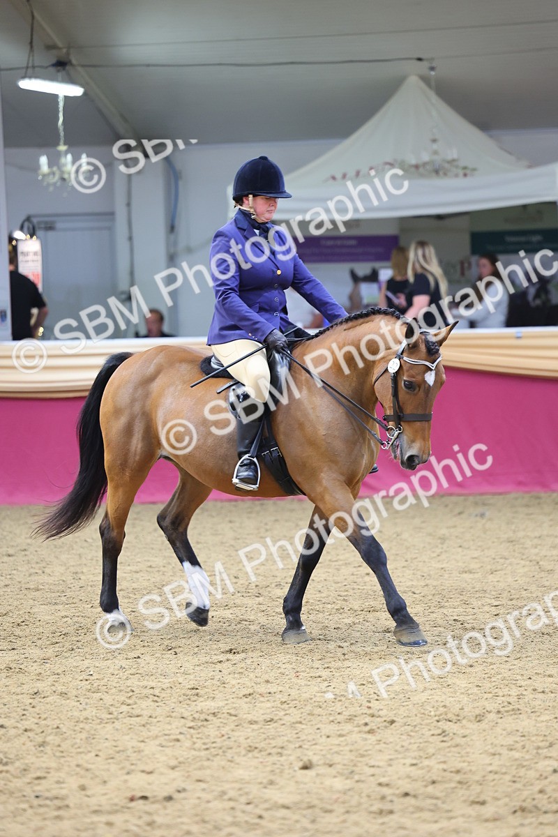 SBM_23966 - Class 905 - Supreme Final - Ridden Veteran