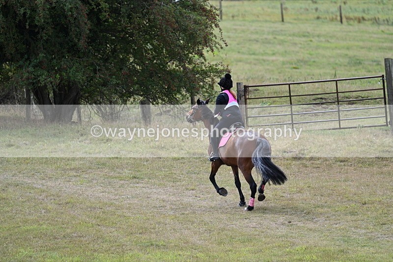 WJ7_6101 - Time 11:50 to 12:09