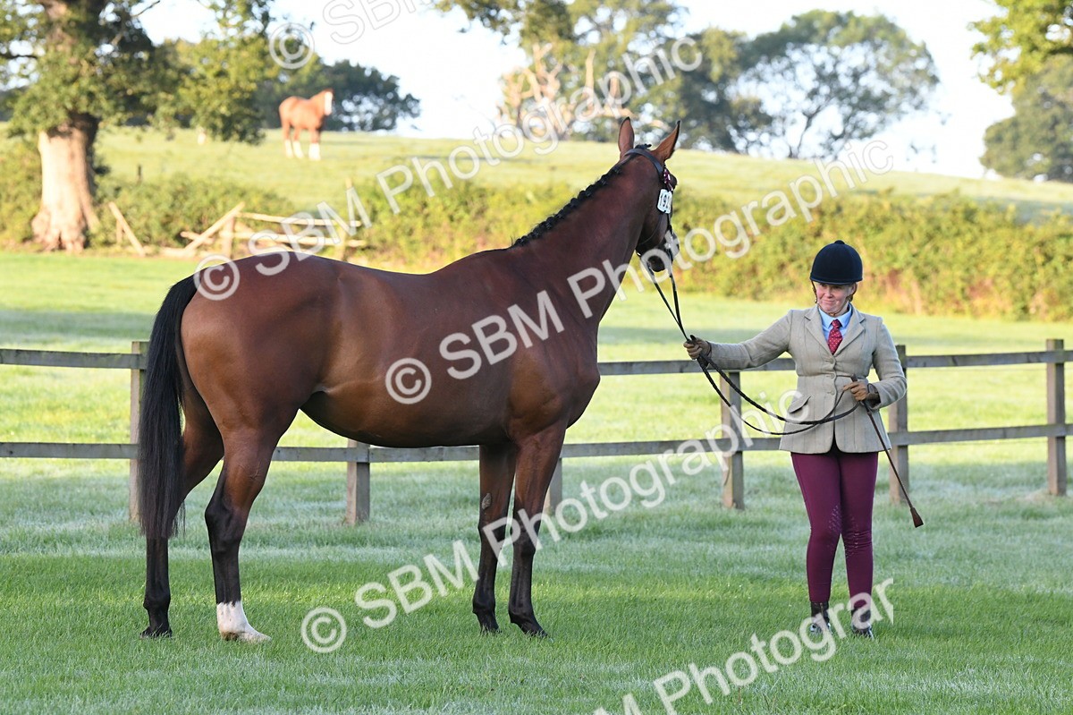 SBM_32535 - S15 - Condition & Turnout In Hand