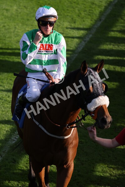 yr08102021r5-11 - Race 5 4.20pm Copper Knight - Winning Most Horse At York Handicap