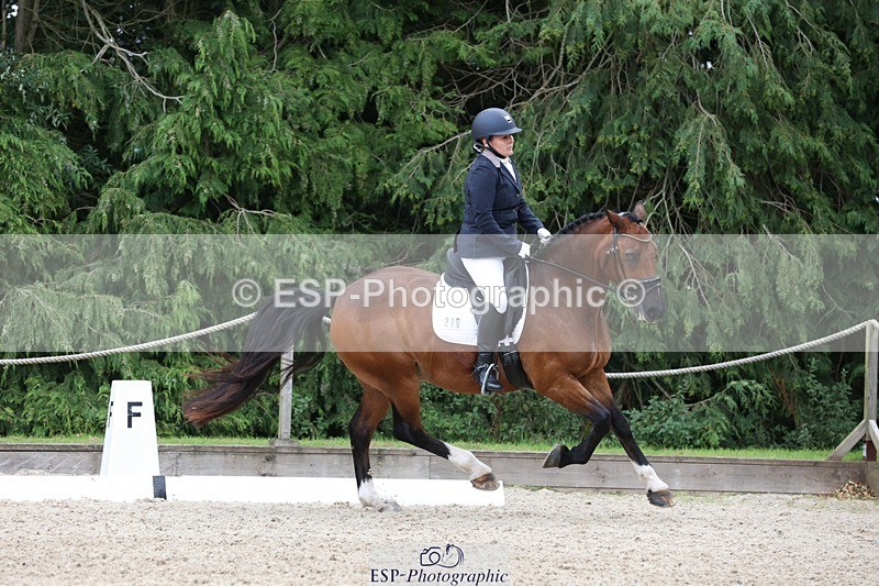 230812-142931-04434 - Cls 5 Novice Bronze 13.40 to 14.45 break