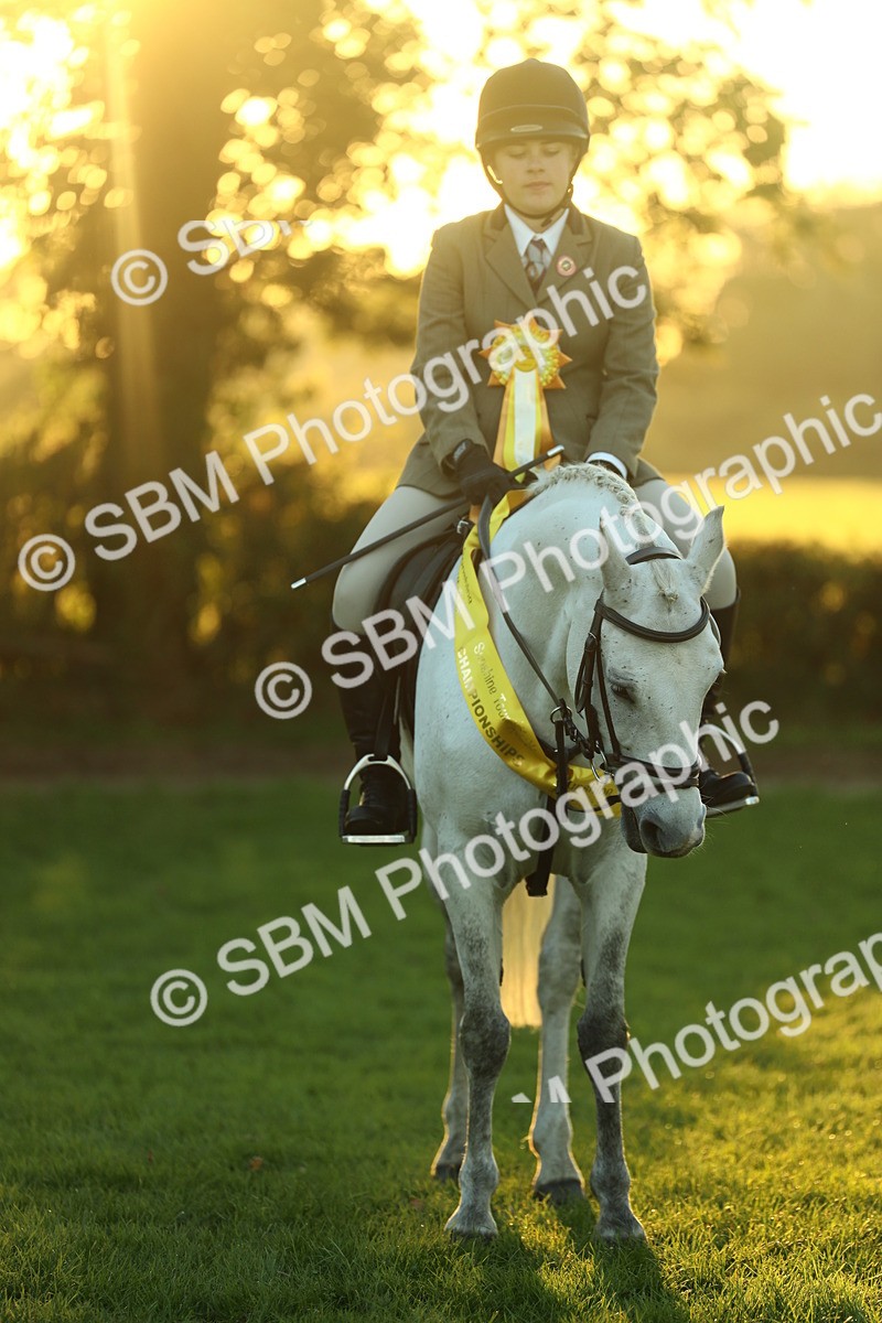 SBM_56641 - Fun & Versatile Supreme Championship