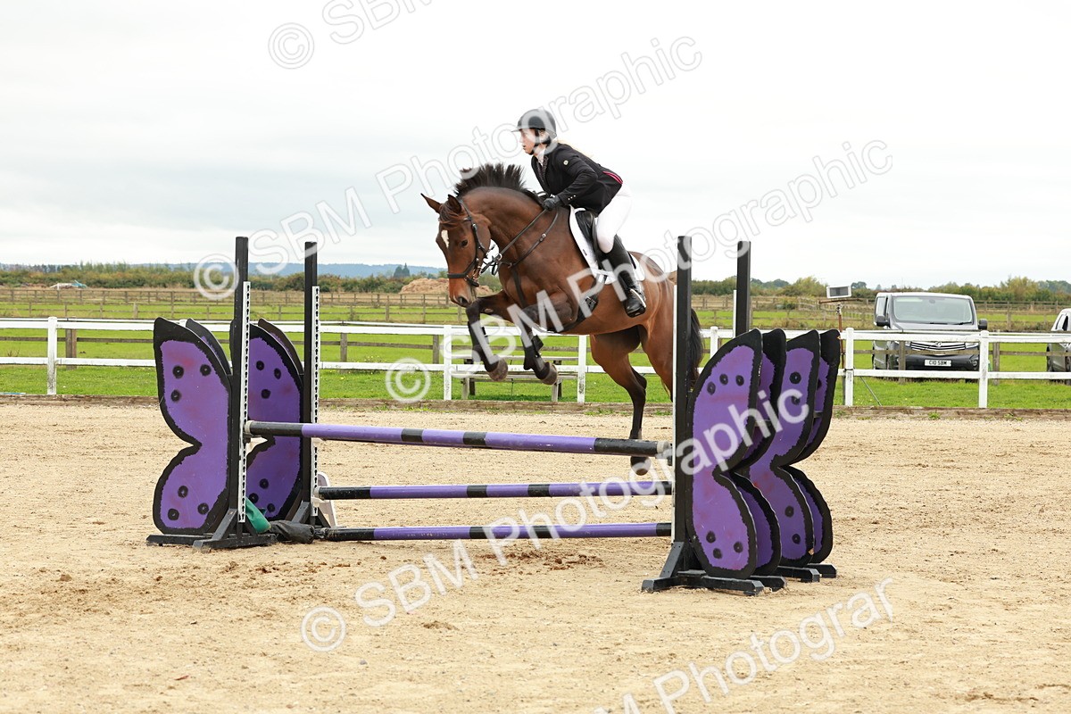 1I0A7074 - Class 2 - Senior British Novice