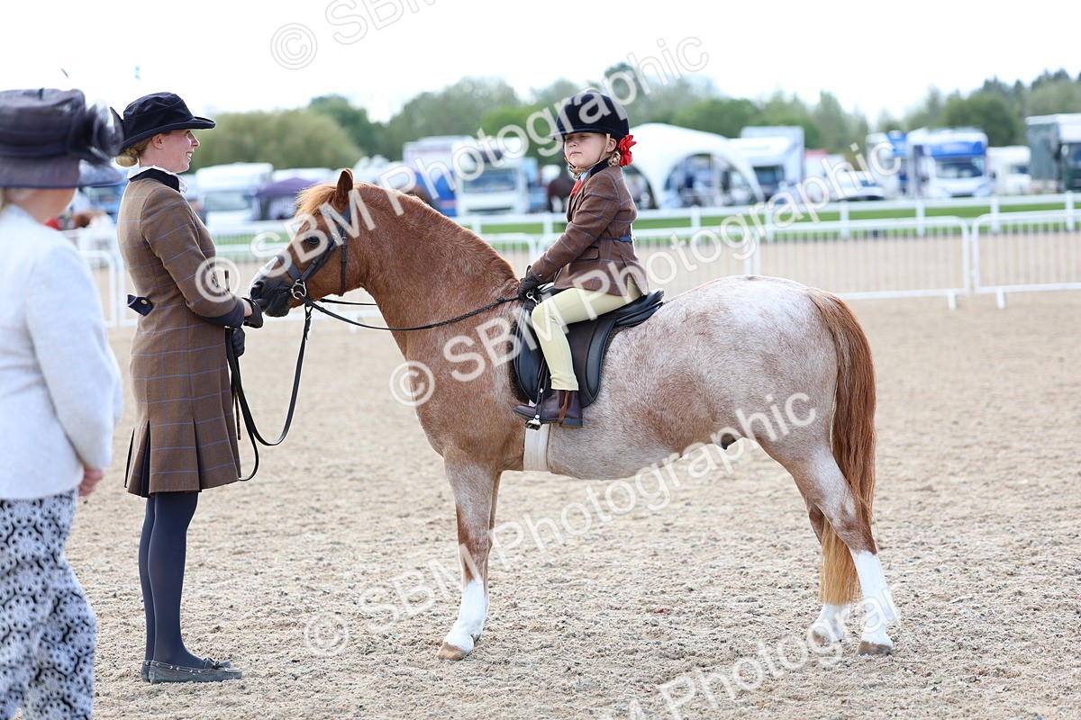SBM_13099 - Class 309 - Lead Rein Pony