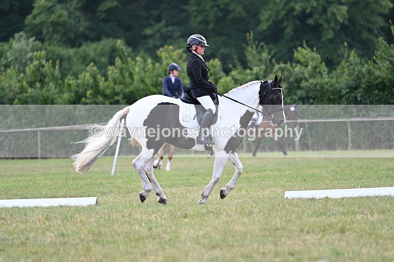 WJ7_5266 - Time 11:22 to 11:51