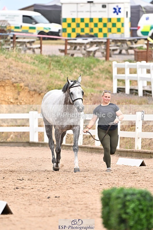 250716-153223-01988 - Trot Up 3.30 to 4.30