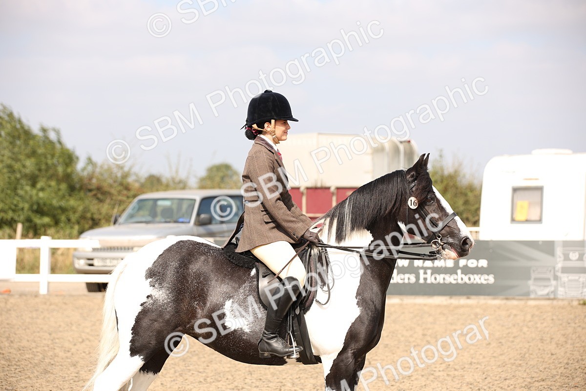 SBM_14974 - Class 408a - Working Veteran 70cm (15-19