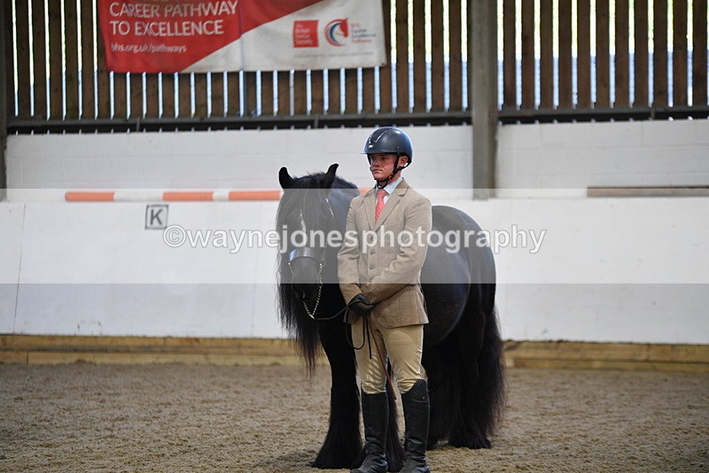 WJ5_4452 - Class 6 In hand M&M - Large Breeds