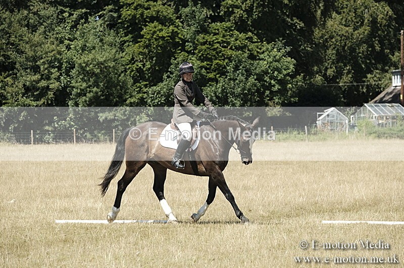 _PJP5911 - Dressage Classes BVRC Show 2018
